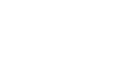 Punto IT